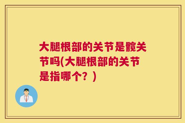 大腿根部的关节是髋关节吗(大腿根部的关节是指哪个？)
