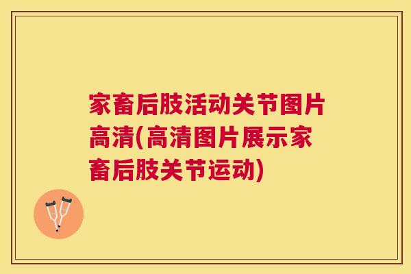 家畜后肢活动关节图片高清(高清图片展示家畜后肢关节运动)