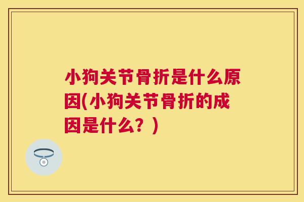 小狗关节骨折是什么原因(小狗关节骨折的成因是什么？)