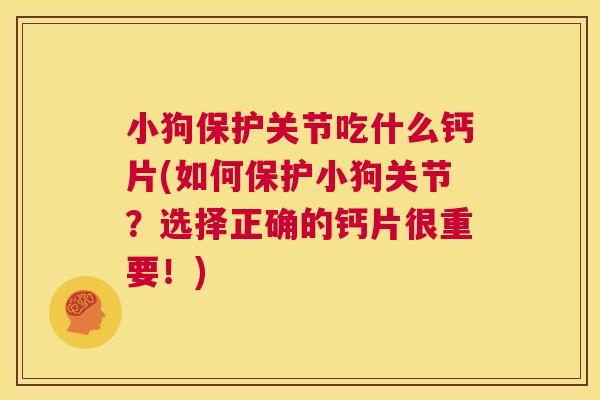 小狗保护关节吃什么钙片(如何保护小狗关节?选择正确的钙片很重要!)