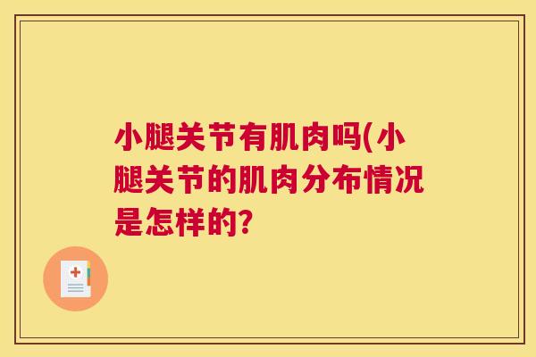 小腿关节有肌肉吗(小腿关节的肌肉分布情况是怎样的?