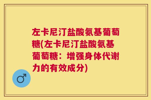 左卡尼汀盐酸氨基葡萄糖(左卡尼汀盐酸氨基葡萄糖:增强身体代谢力的有效成分)