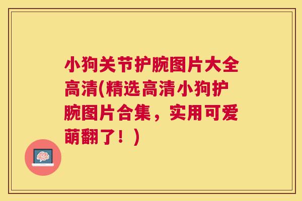 小狗关节护腕图片大全高清(精选高清小狗护腕图片合集,实用可爱萌翻了!)