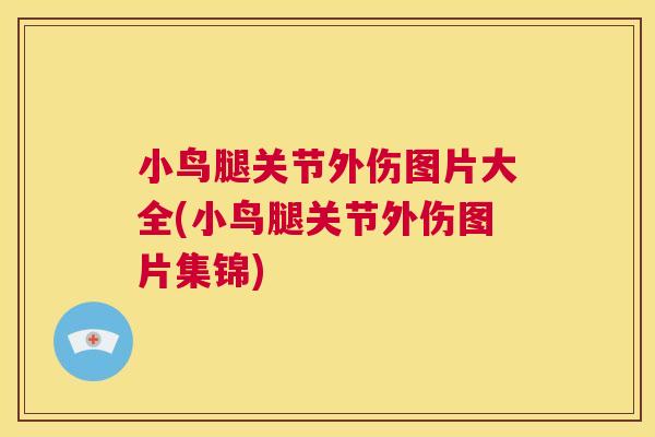 小鸟腿关节外伤图片大全(小鸟腿关节外伤图片集锦) 小鸟腿关节外伤图片大全(小鸟腿关节外伤图片集锦)