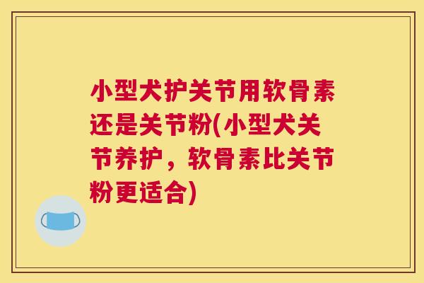 小型犬护关节用软骨素还是关节粉(小型犬关节养护,软骨素比关节粉更适合)