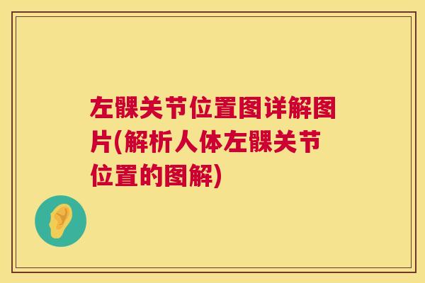 左髁关节位置图详解图片(解析人体左髁关节位置的图解)
