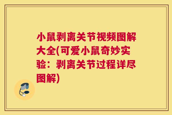 小鼠剥离关节视频图解大全(可爱小鼠奇妙实验：剥离关节过程详尽图解)