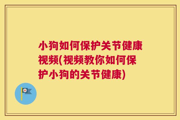 小狗如何保护关节健康视频(视频教你如何保护小狗的关节健康)