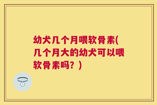 幼犬几个月喂软骨素(几个月大的幼犬可以喂软骨素吗?)
