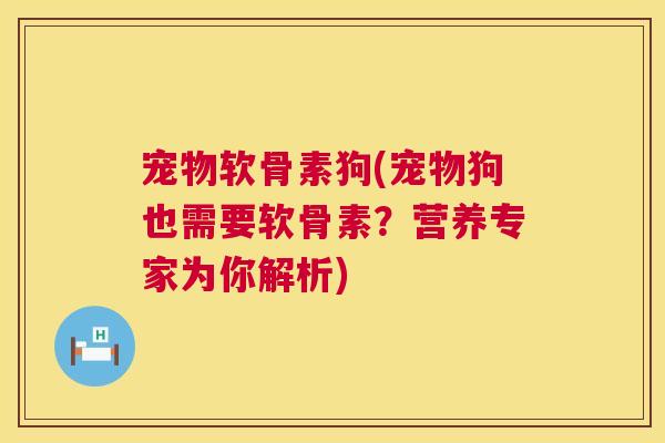 宠物软骨素狗(宠物狗也需要软骨素？营养专家为你解析)