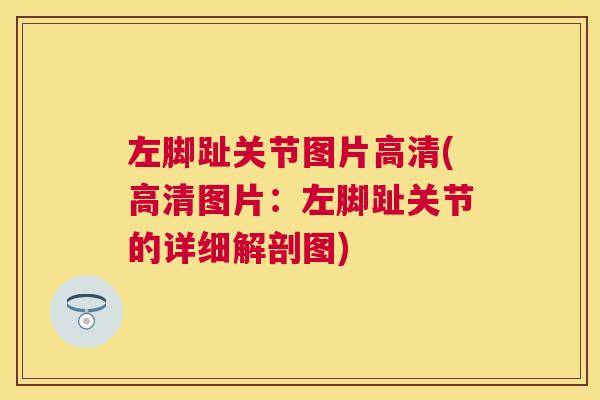 左脚趾关节图片高清(高清图片：左脚趾关节的详细解剖图)