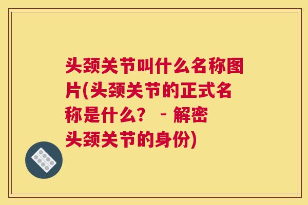 头颈关节叫什么名称图片(头颈关节的正式名称是什么？ - 解密头颈关节的身份)