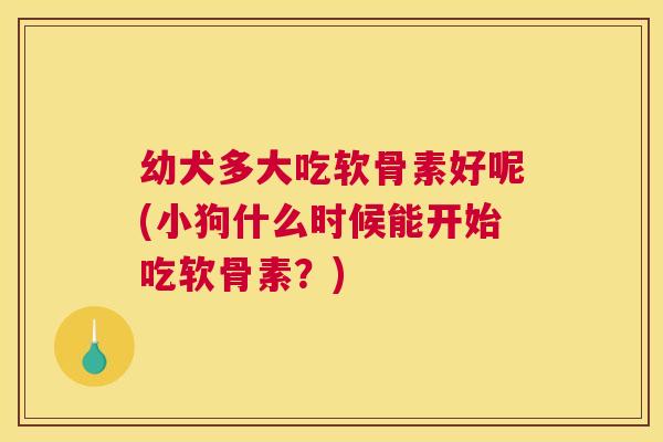 幼犬多大吃软骨素好呢(小狗什么时候能开始吃软骨素？)