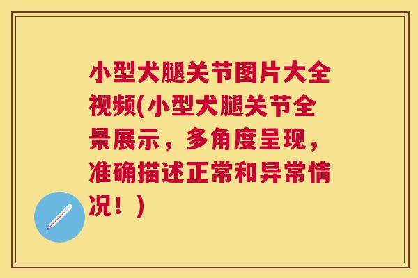 小型犬腿关节图片大全视频(小型犬腿关节全景展示，多角度呈现，准确描述正常和异常情况！)