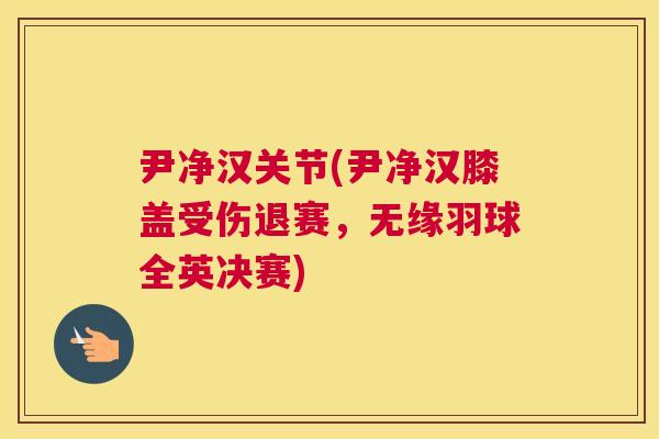 尹净汉关节(尹净汉膝盖受伤退赛,无缘羽球全英决赛)
