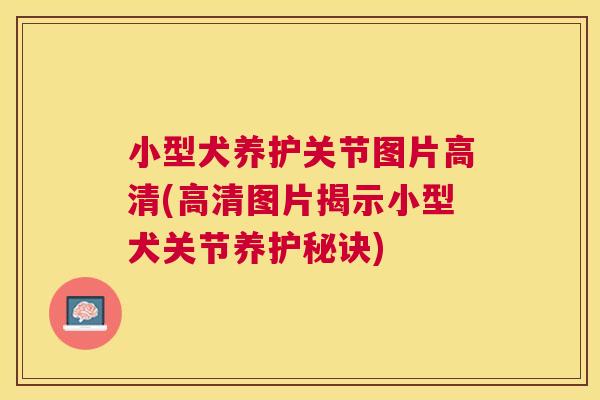 小型犬养护关节图片高清(高清图片揭示小型犬关节养护秘诀)