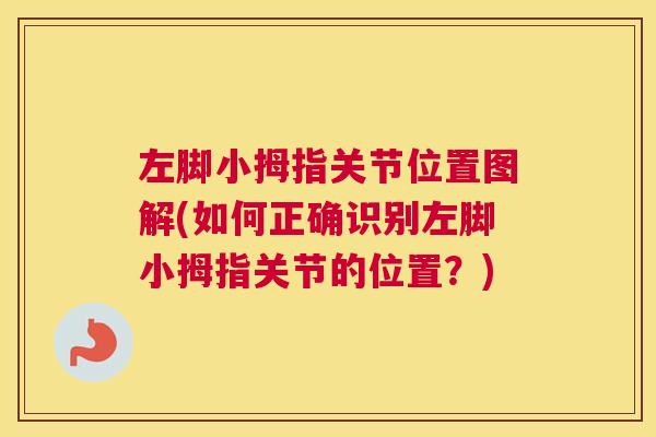 左脚小拇指关节位置图解(如何正确识别左脚小拇指关节的位置？)