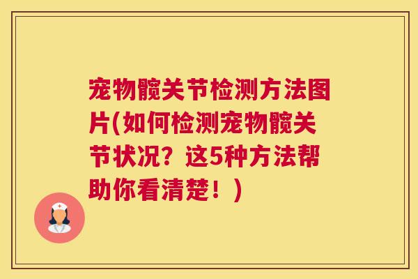 宠物髋关节检测方法图片(如何检测宠物髋关节状况?这5种方法帮助你看清楚!)