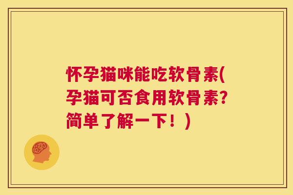 怀孕猫咪能吃软骨素(孕猫可否食用软骨素？简单了解一下！)