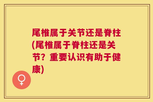 尾椎属于关节还是脊柱(尾椎属于脊柱还是关节?重要认识有助于健康) 尾椎属于关节还是脊柱(尾椎属于脊柱还是关节?重要认识有助于健康)