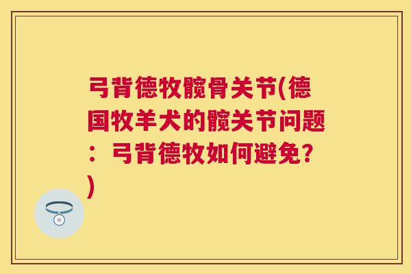 弓背德牧髋骨关节(德国牧羊犬的髋关节问题：弓背德牧如何避免？)