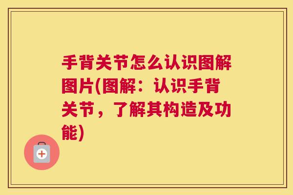 手背关节怎么认识图解图片(图解:认识手背关节,了解其构造及功能) 手背关节怎么认识图解图片(图解:认识手背关节,了解其构造及功能)