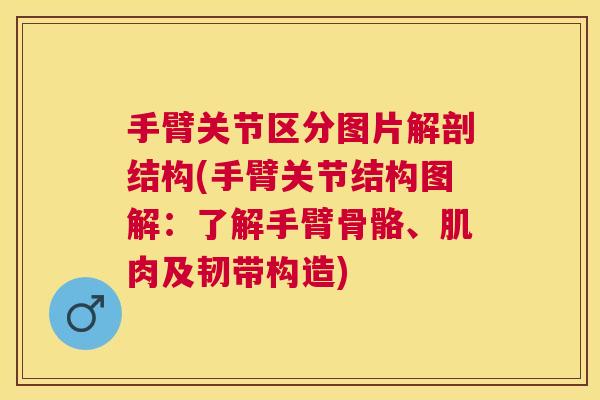 手臂关节区分图片解剖结构(手臂关节结构图解：了解手臂骨骼、肌肉及韧带构造)