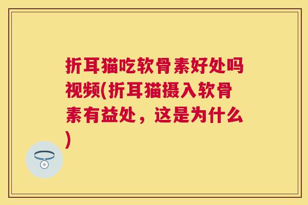 折耳猫吃软骨素好处吗视频(折耳猫摄入软骨素有益处，这是为什么)