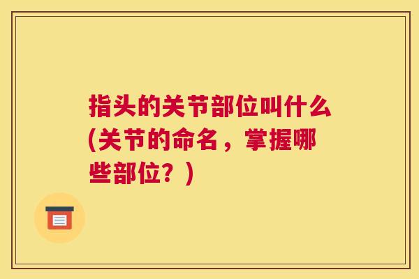 指头的关节部位叫什么(关节的命名,掌握哪些部位?) 指头的关节部位叫什么(关节的命名,掌握哪些部位?)