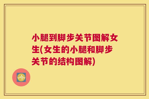 小腿到脚步关节图解女生(女生的小腿和脚步关节的结构图解) 小腿到脚步关节图解女生(女生的小腿和脚步关节的结构图解)