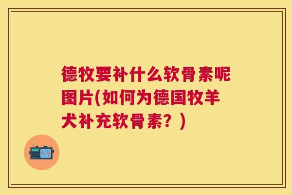 德牧要补什么软骨素呢图片(如何为德国牧羊犬补充软骨素？)