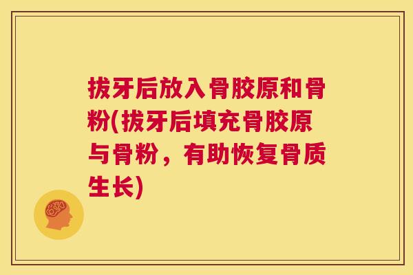 拔牙后放入骨胶原和骨粉(拔牙后填充骨胶原与骨粉,有助恢复骨质生长)