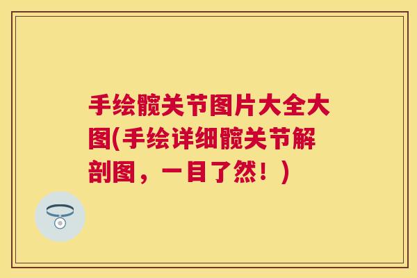 手绘髋关节图片大全大图(手绘详细髋关节解剖图,一目了然!)