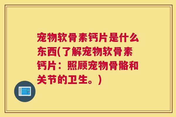 宠物软骨素钙片是什么东西(了解宠物软骨素钙片:照顾宠物骨骼和关节的卫生。)