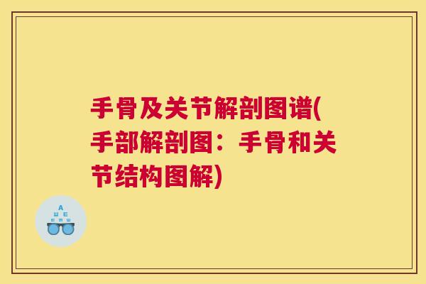 手骨及关节解剖图谱(手部解剖图:手骨和关节结构图解)