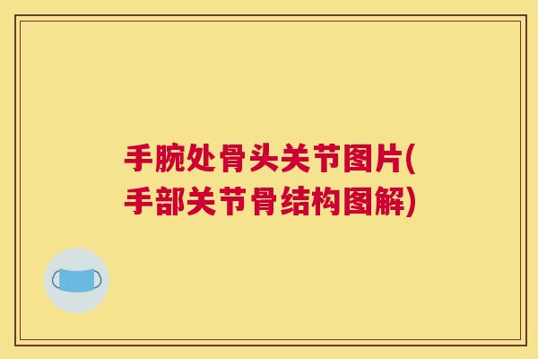 手腕处骨头关节图片(手部关节骨结构图解)