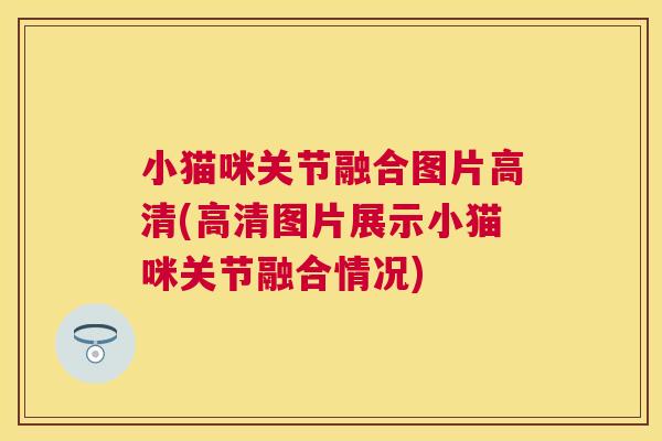 小猫咪关节融合图片高清(高清图片展示小猫咪关节融合情况) 小猫咪关节融合图片高清(高清图片展示小猫咪关节融合情况)