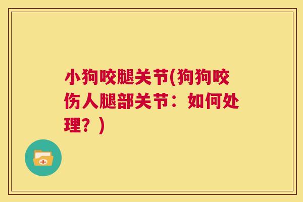 小狗咬腿关节(狗狗咬伤人腿部关节:如何处理?)