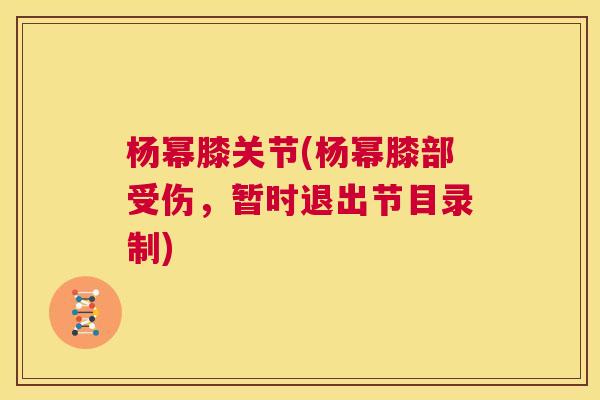 杨幂膝关节(杨幂膝部受伤,暂时退出节目录制)
