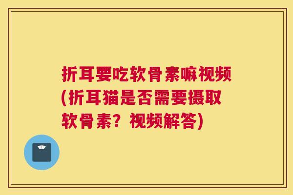 折耳要吃软骨素嘛视频(折耳猫是否需要摄取软骨素?视频解答)