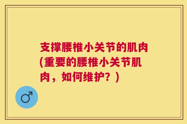 支撑腰椎小关节的肌肉(重要的腰椎小关节肌肉，如何维护？)