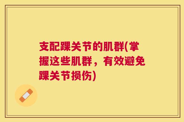 支配踝关节的肌群(掌握这些肌群,有效避免踝关节损伤)