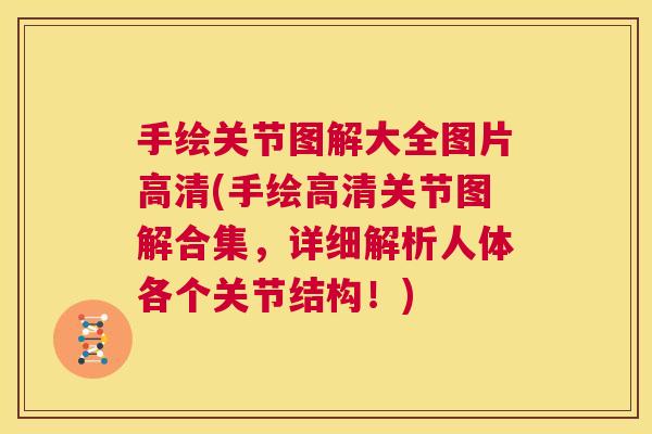 手绘关节图解大全图片高清(手绘高清关节图解合集,详细解析人体各个关节结构!)