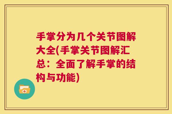 手掌分为几个关节图解大全(手掌关节图解汇总：全面了解手掌的结构与功能)