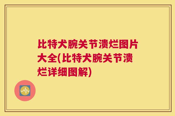 比特犬腕关节溃烂图片大全(比特犬腕关节溃烂详细图解)