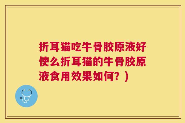 折耳猫吃牛骨胶原液好使么折耳猫的牛骨胶原液食用效果如何？)