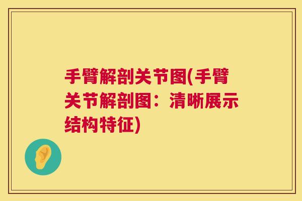 手臂解剖关节图(手臂关节解剖图:清晰展示结构特征)