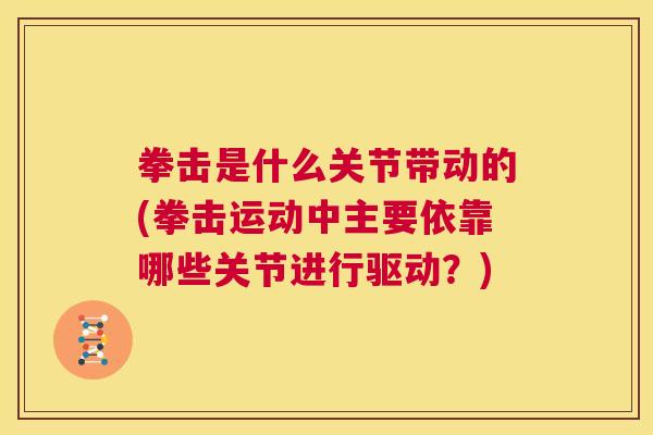 拳击是什么关节带动的(拳击运动中主要依靠哪些关节进行驱动?)