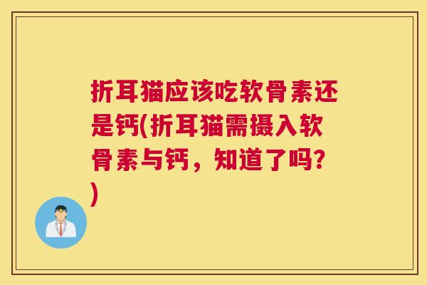 折耳猫应该吃软骨素还是钙(折耳猫需摄入软骨素与钙,知道了吗?)