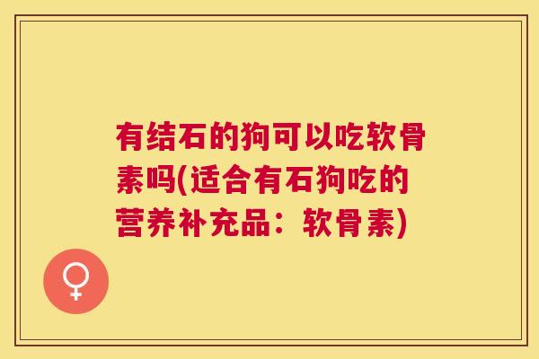 有结石的狗可以吃软骨素吗(适合有石狗吃的营养补充品:软骨素)